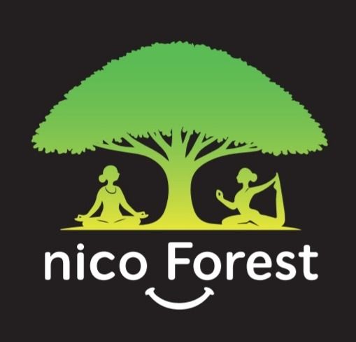 nico-forest